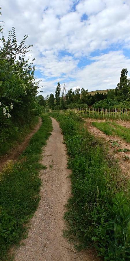 Apartamento Entrevinas En El Corazon De La Rioja Fuenmayor Eksteriør bilde