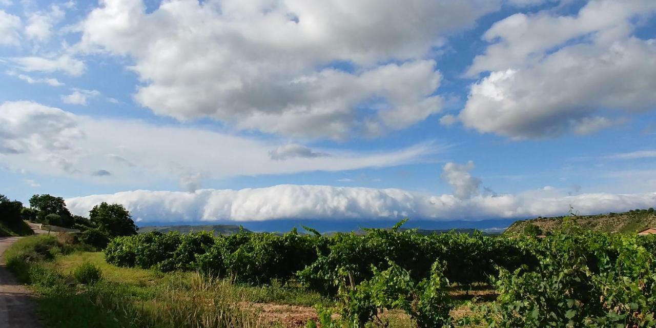 Apartamento Entrevinas En El Corazon De La Rioja Fuenmayor Eksteriør bilde